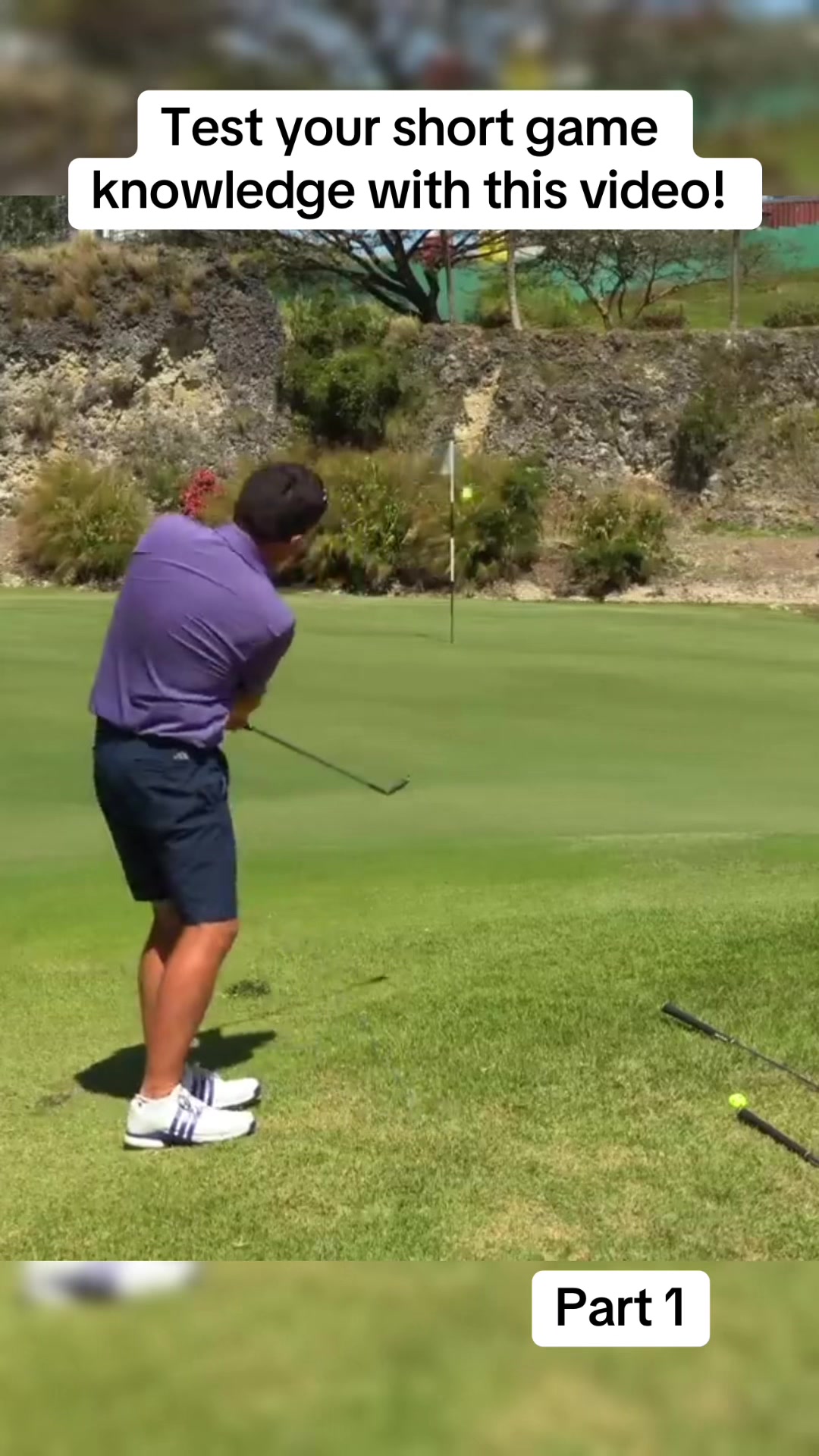 @The Golf Goat