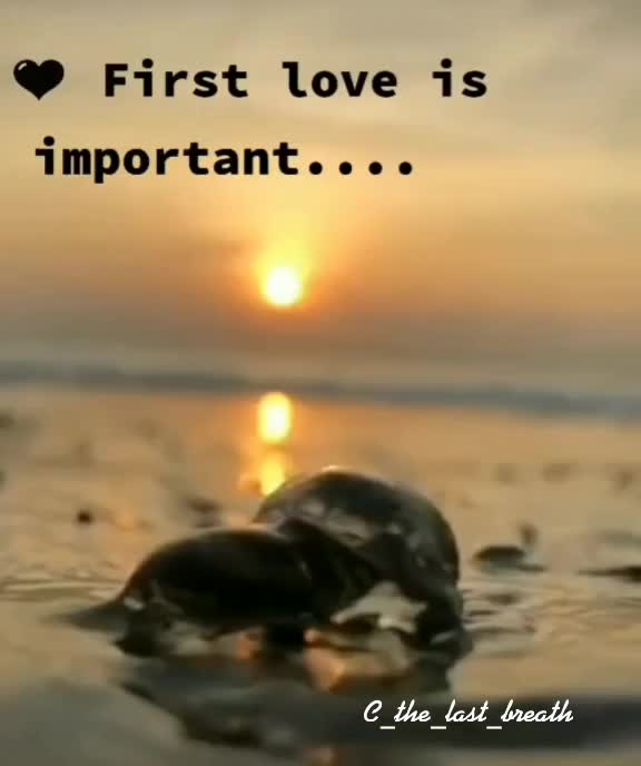 @the__fake__smiler