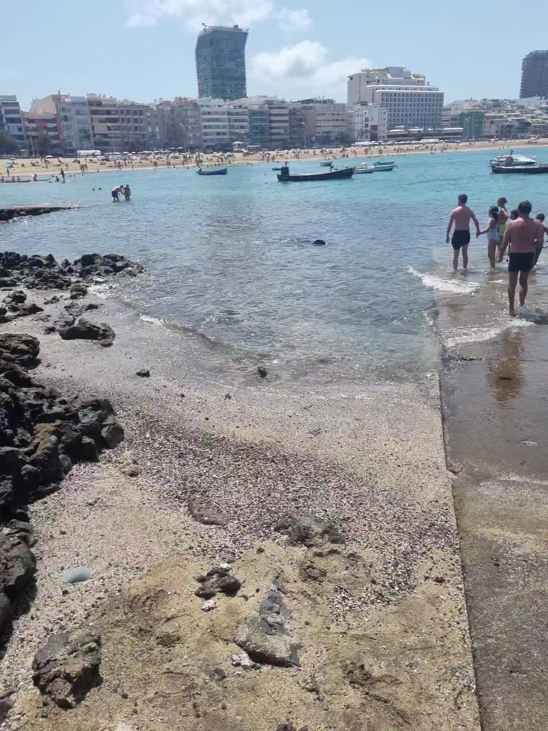 @fefi24 🫶 Испанский 🇪🇦 я