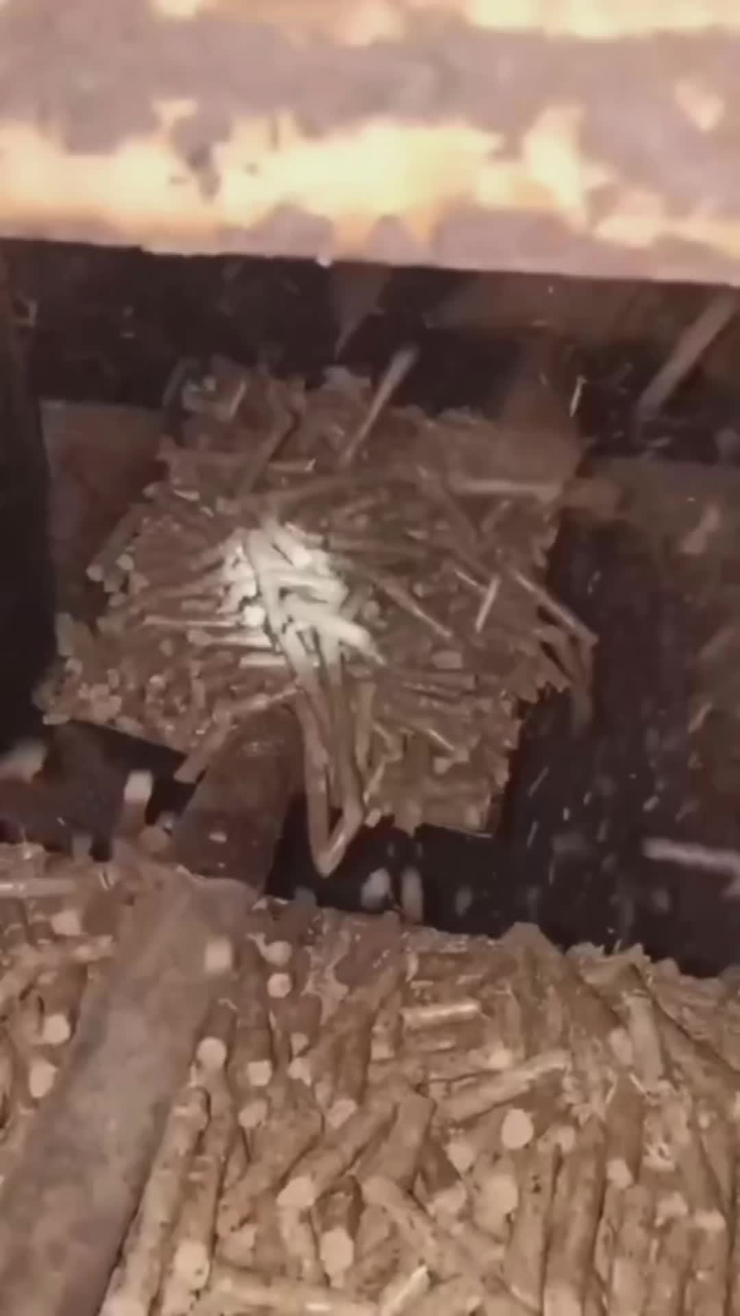 @zhongcyytwx