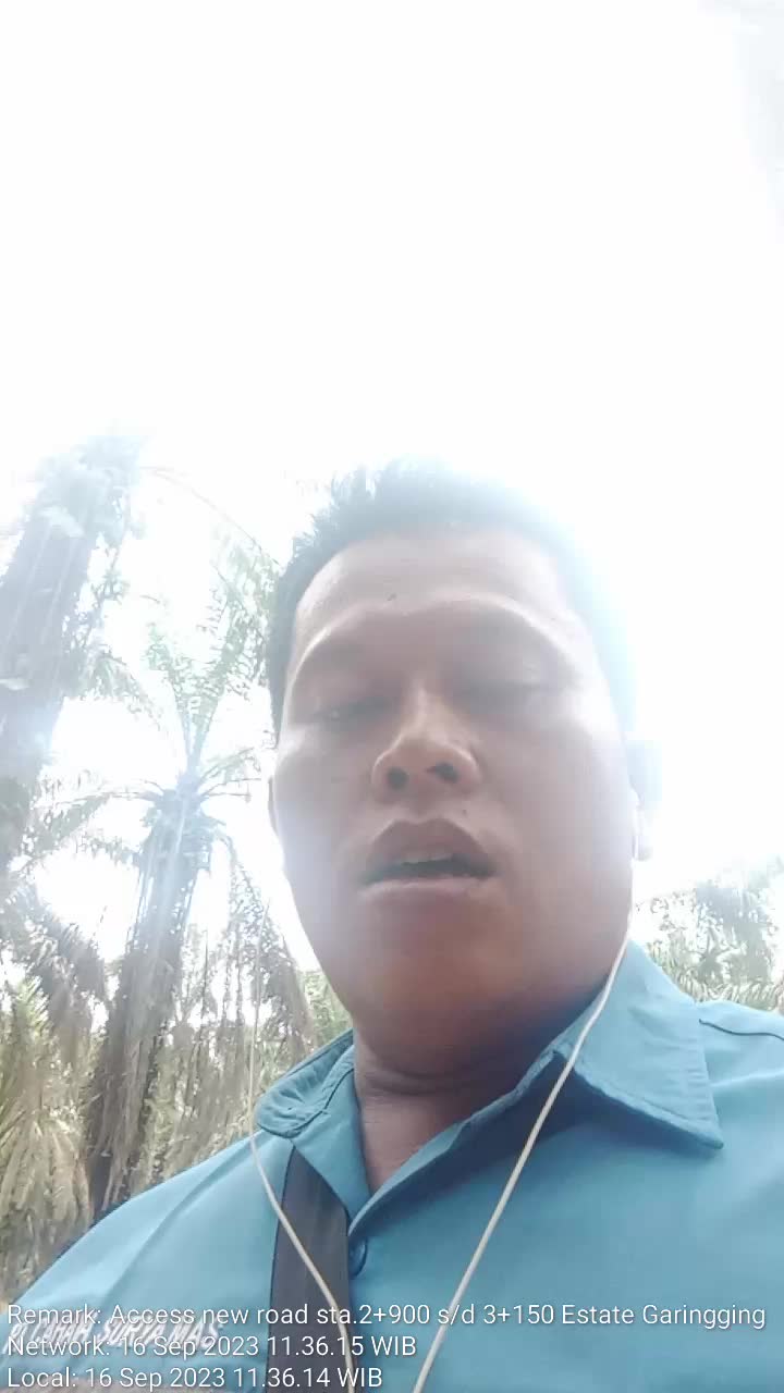 @borneo5379017718526