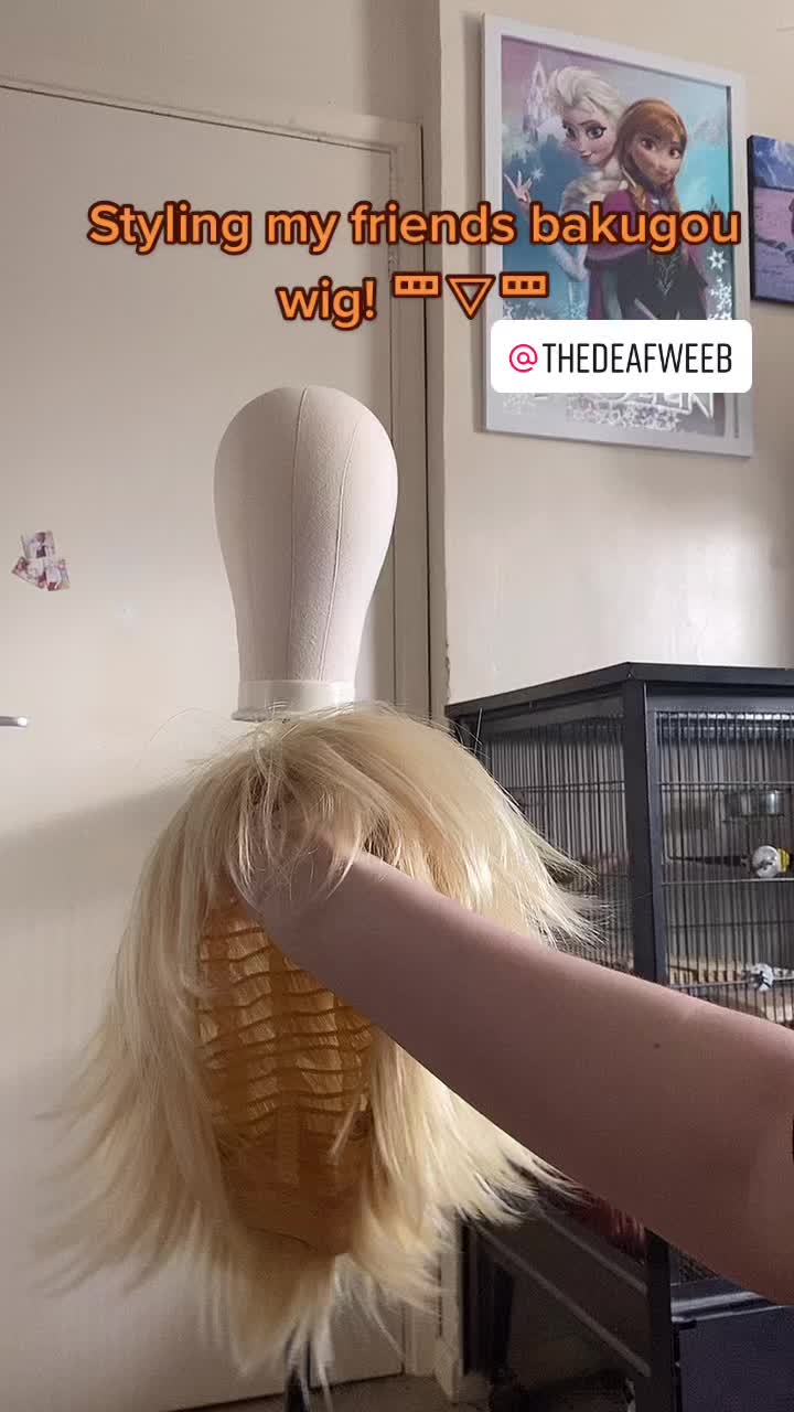 @WolfieGirl_Echo