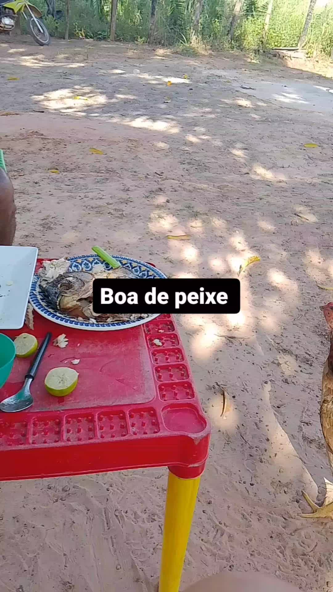 @Kelen Cristina