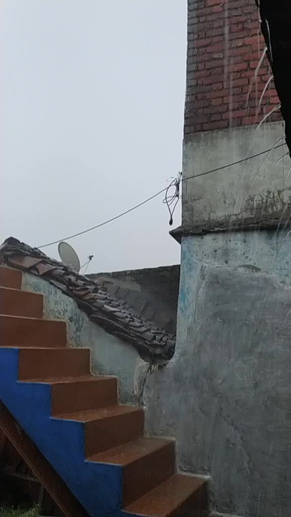 @patelsab18298