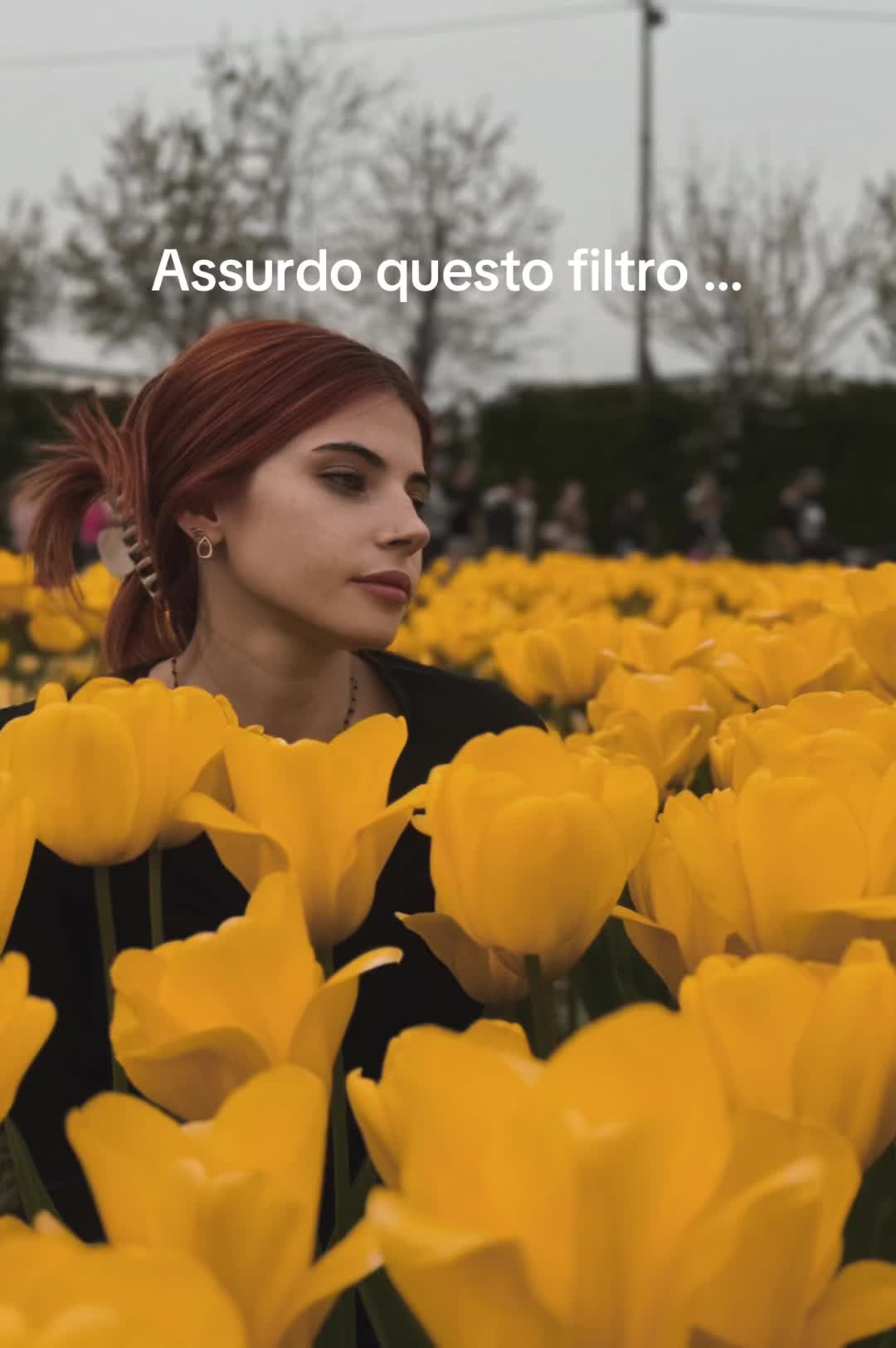 @Alice Colucci