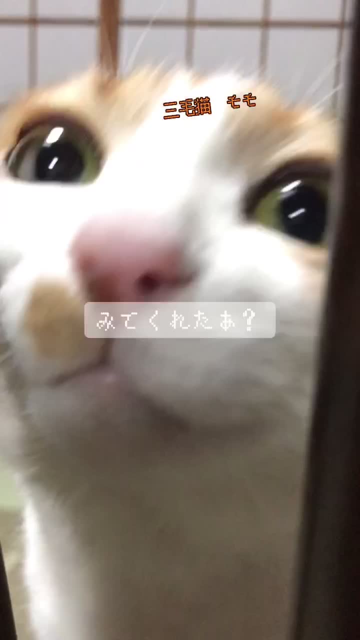 @Kohji