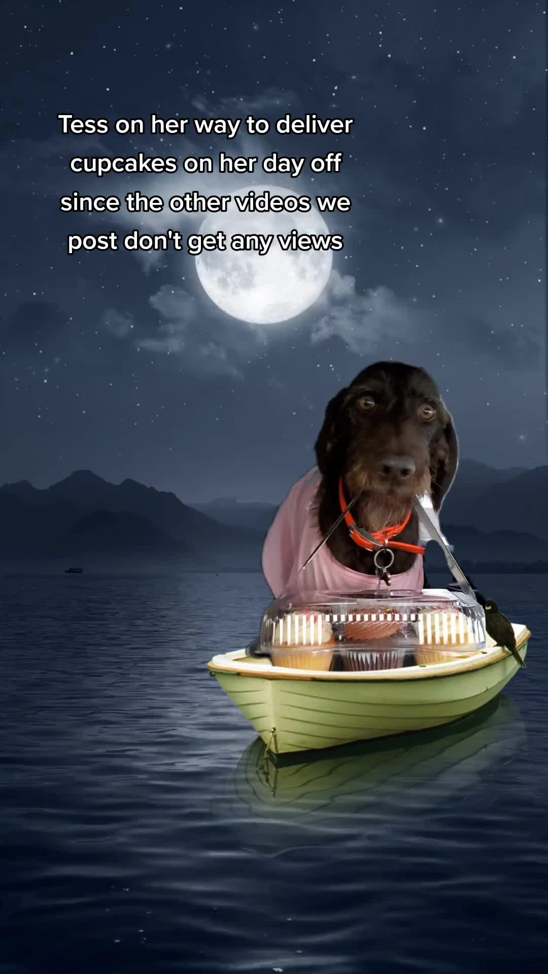 @NadiaCakes