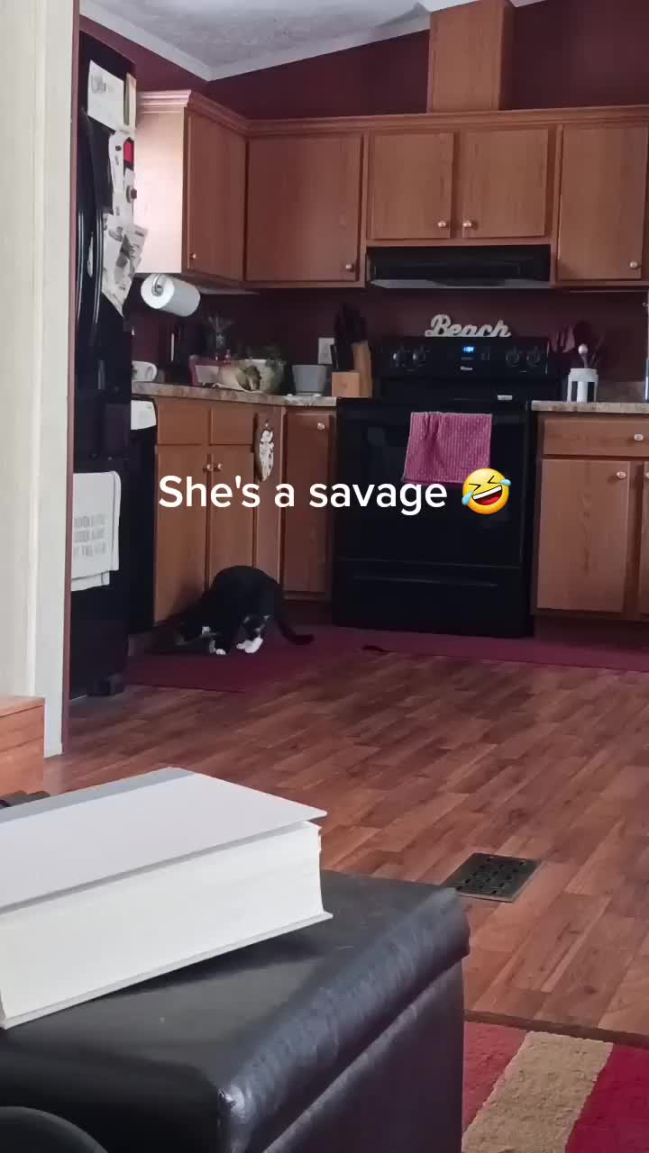 @original_tawnyhairedvixen