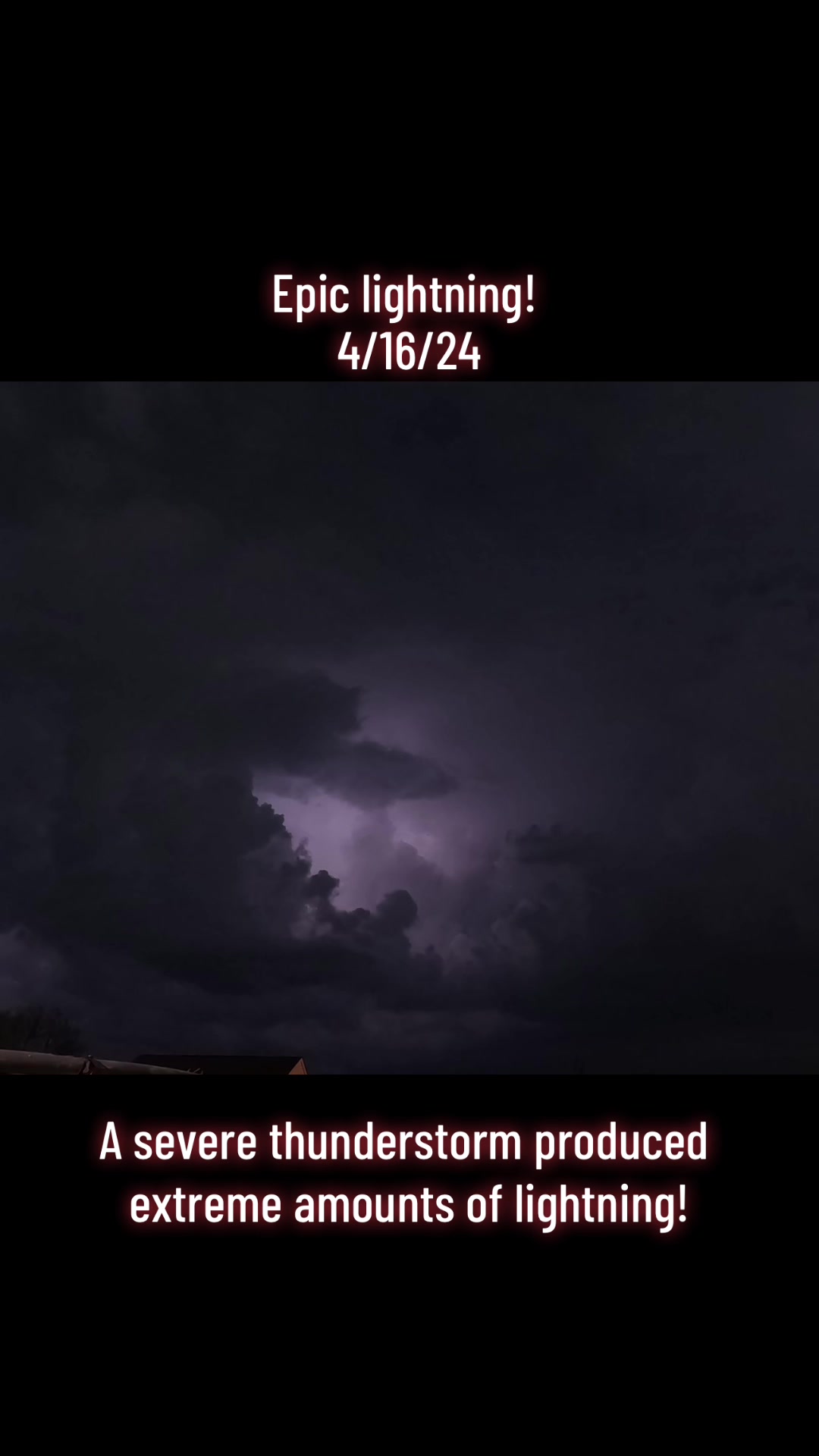 @🌪️Plum Wild Weather ⛈️