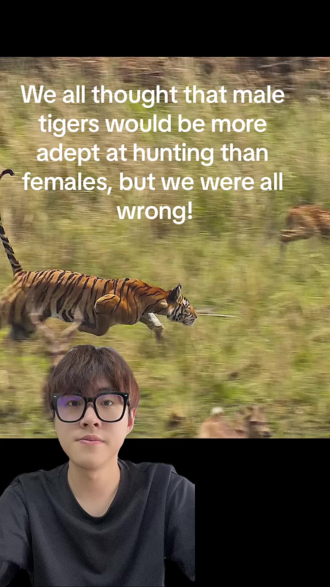 @aboutanimals