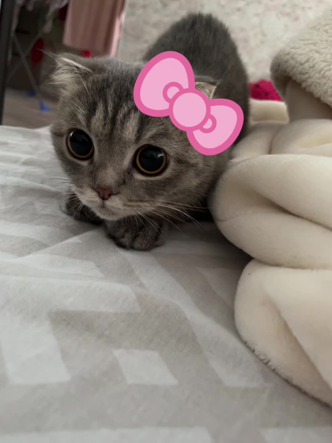 @Тгк в описании💘