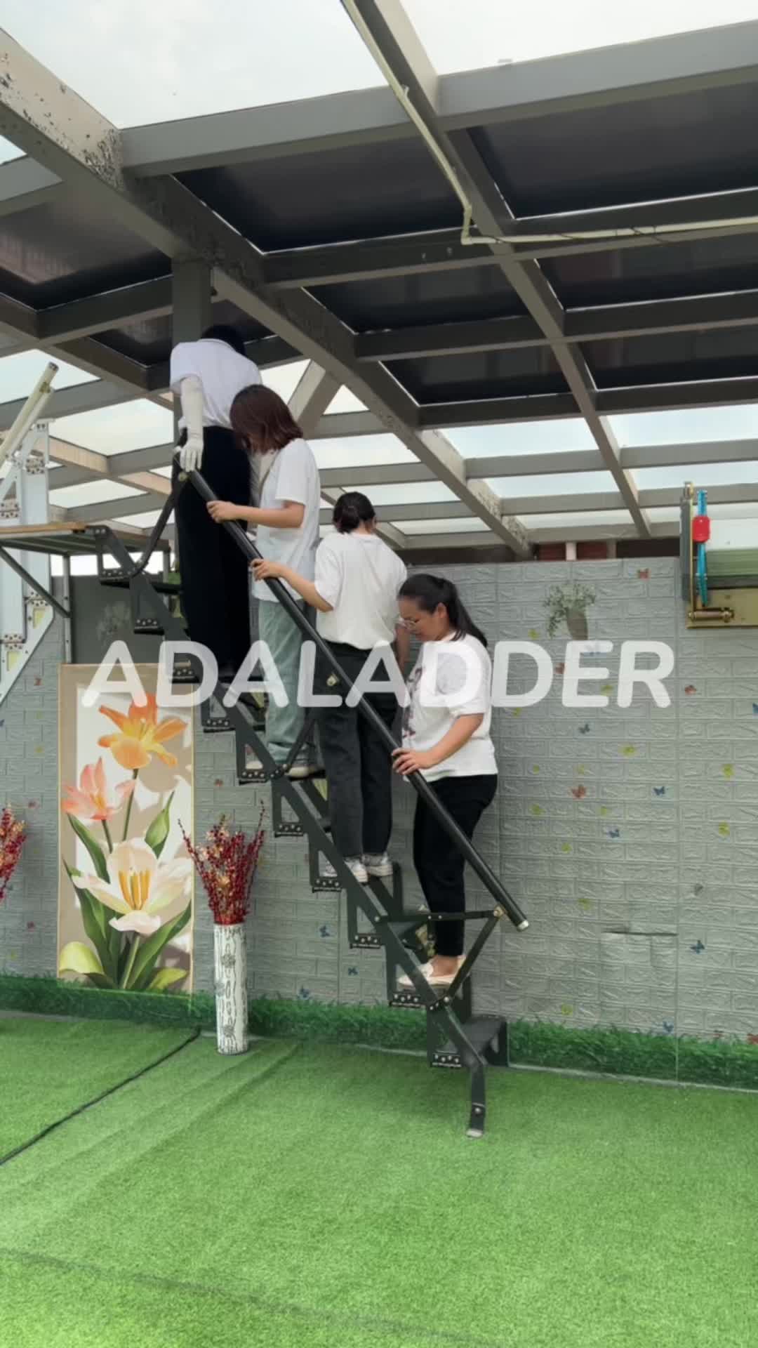 @Renee_attic ladder
