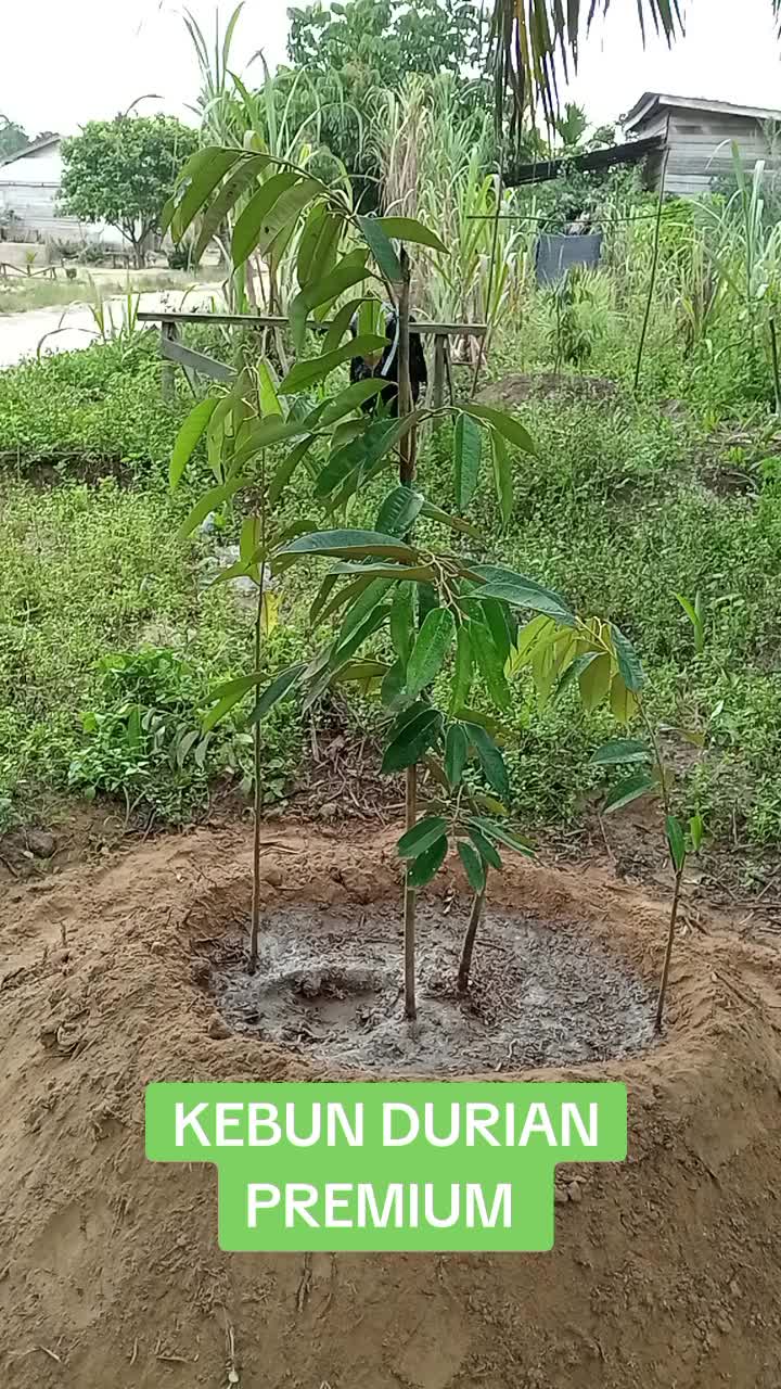 @PEJUANG keluarga ❤️