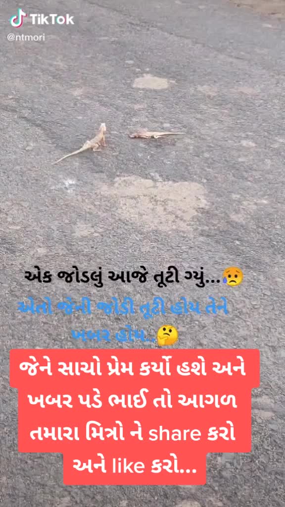 @છોટે રાજદિપ બારોટ