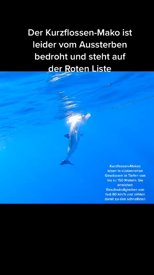 @Dominik_Goldstein