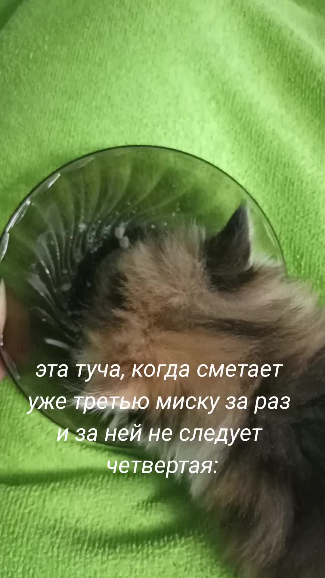 @별Мōрсэээ