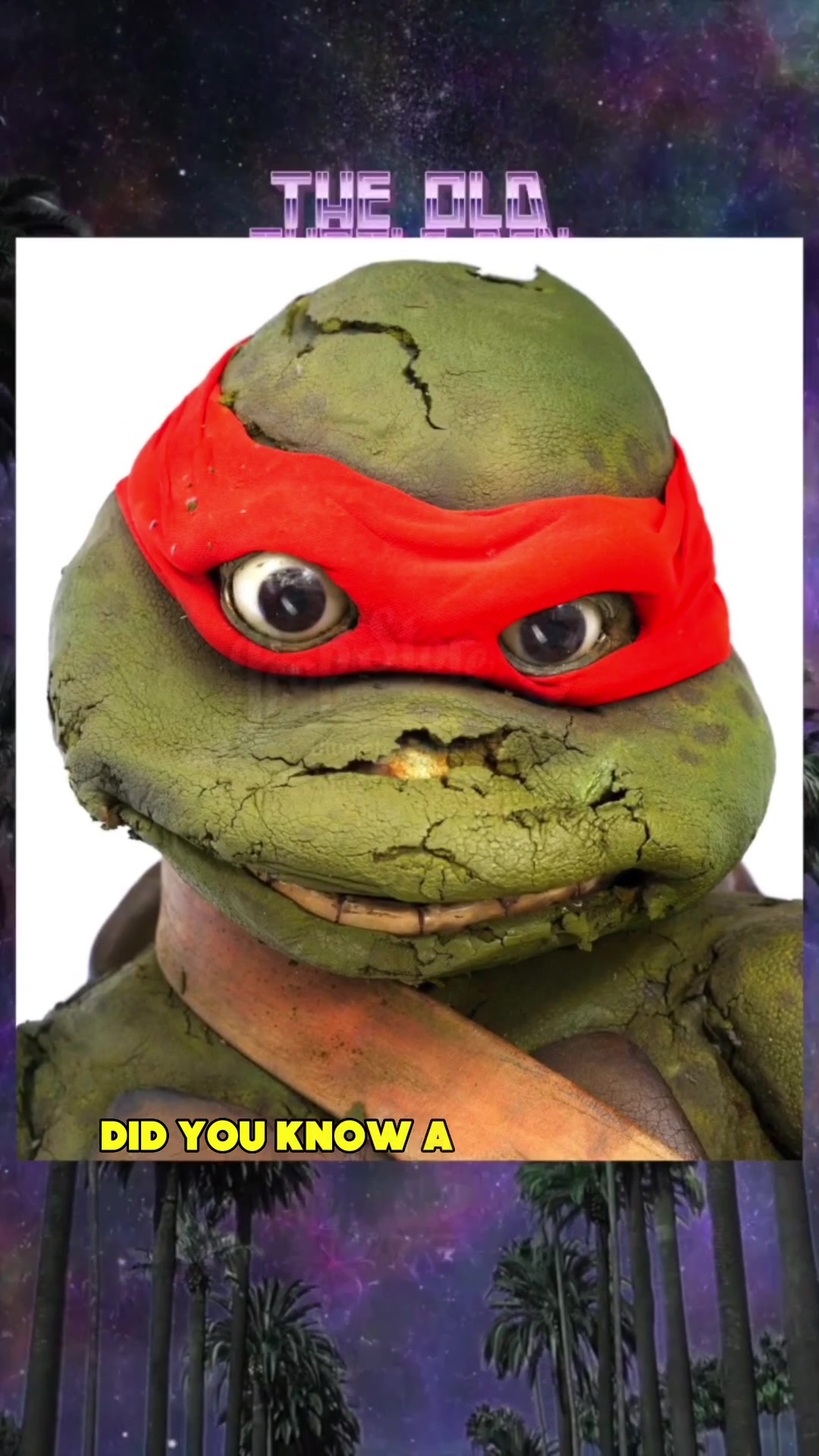 @TheOldTurtleDen