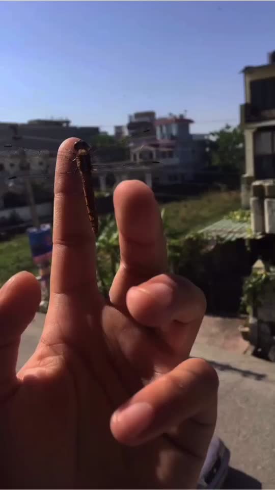 @Sohaibnaoba