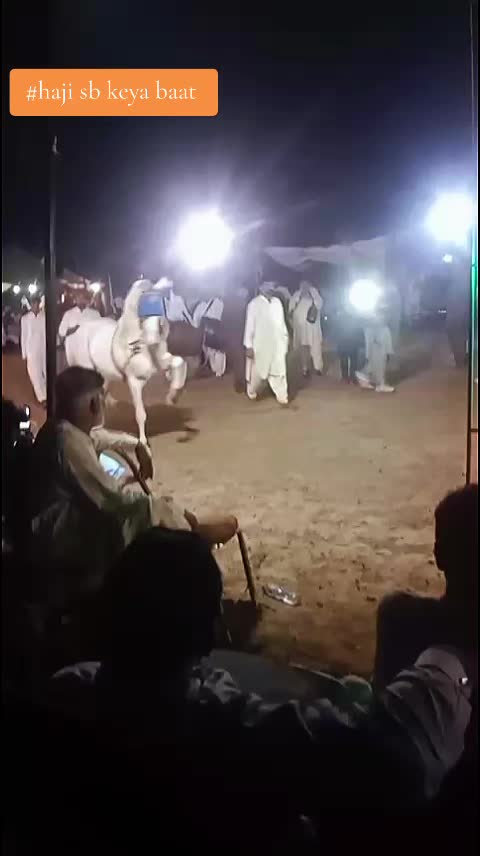 @horse dance #world
