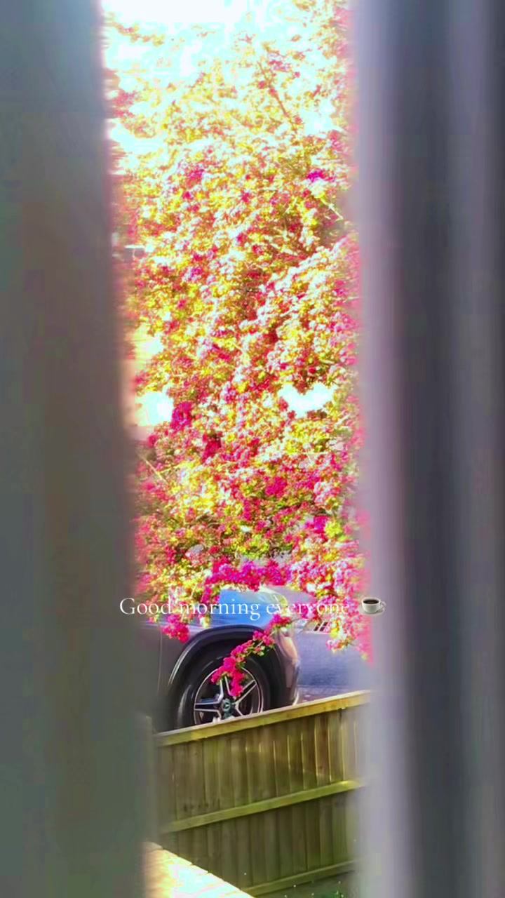@seema17175