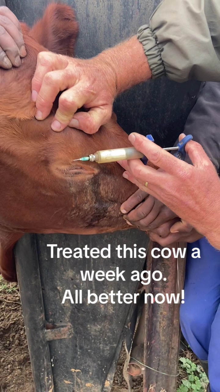 @FarmingKZN🇿🇦
