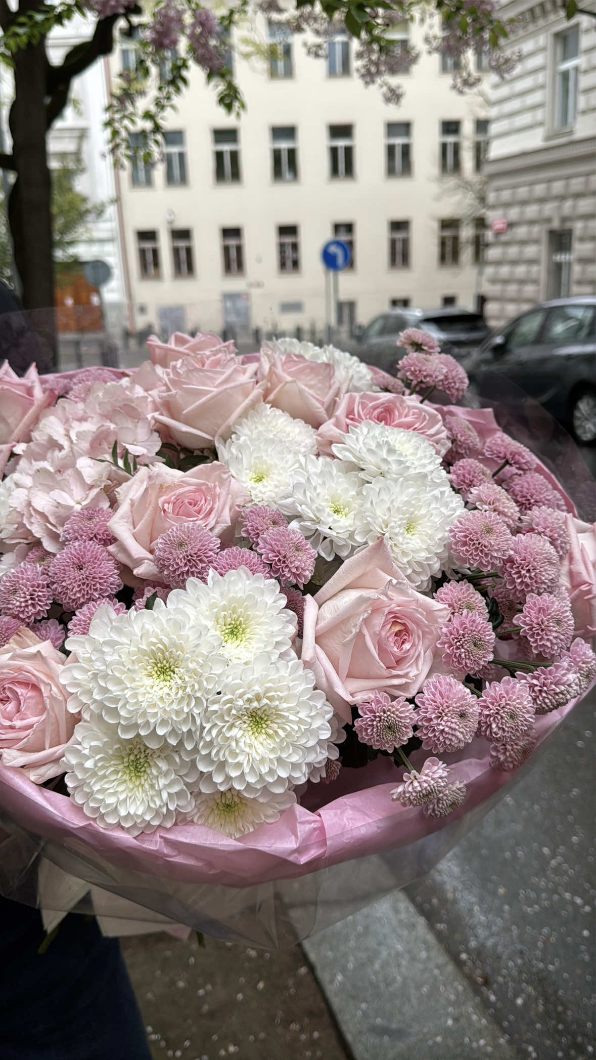 @Olga Čumpel&iacute;k -florist, ekonom