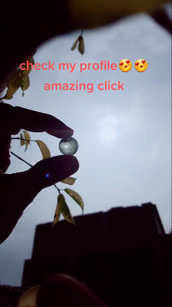 @photographer🌱🌳🌳🌵