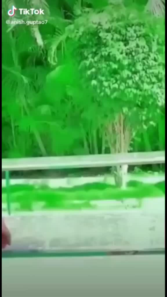 @user11345790960