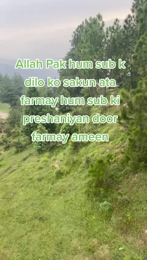 @@zaidoll8