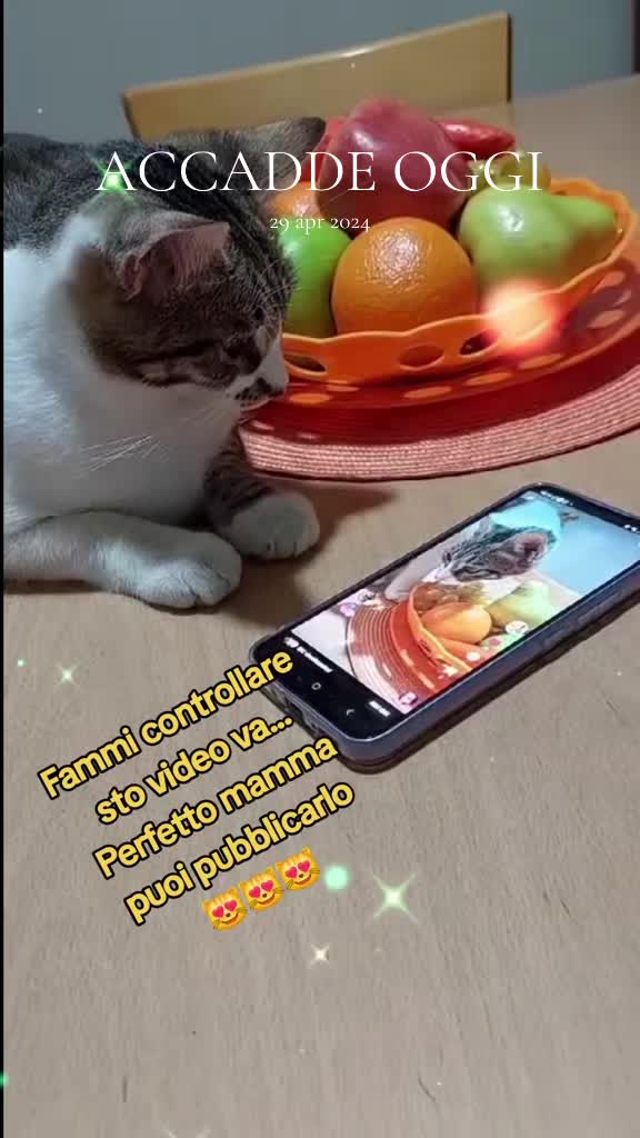 @💫⚘️Maria⚘️💫