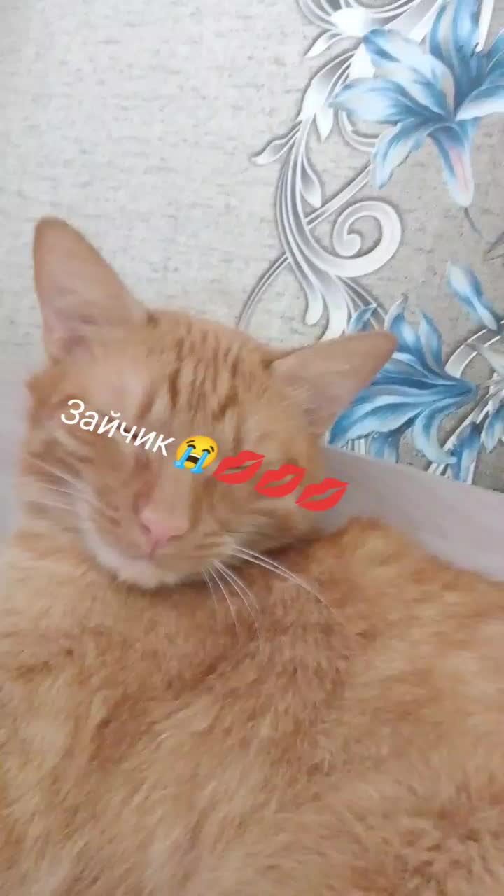 @Таро