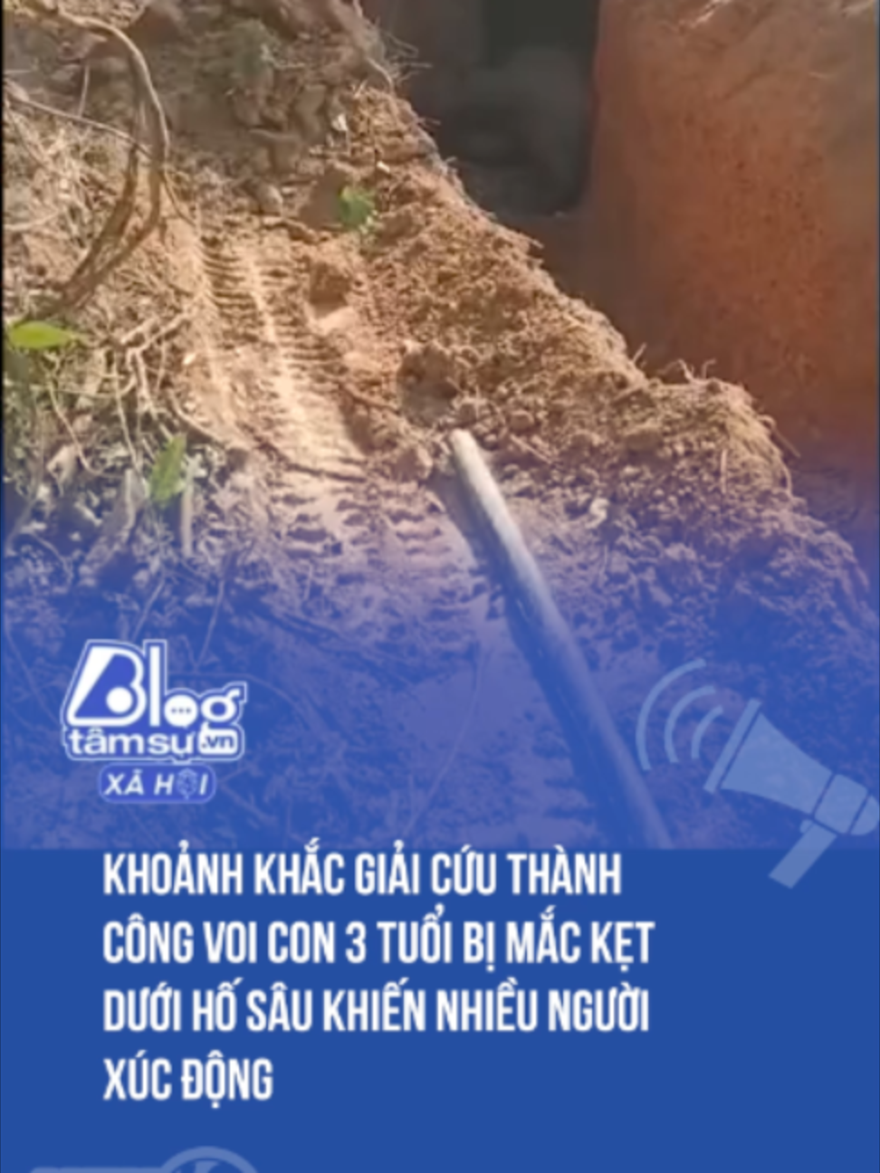 @Tin X&atilde; Hội - Blog T&acirc;m Sự