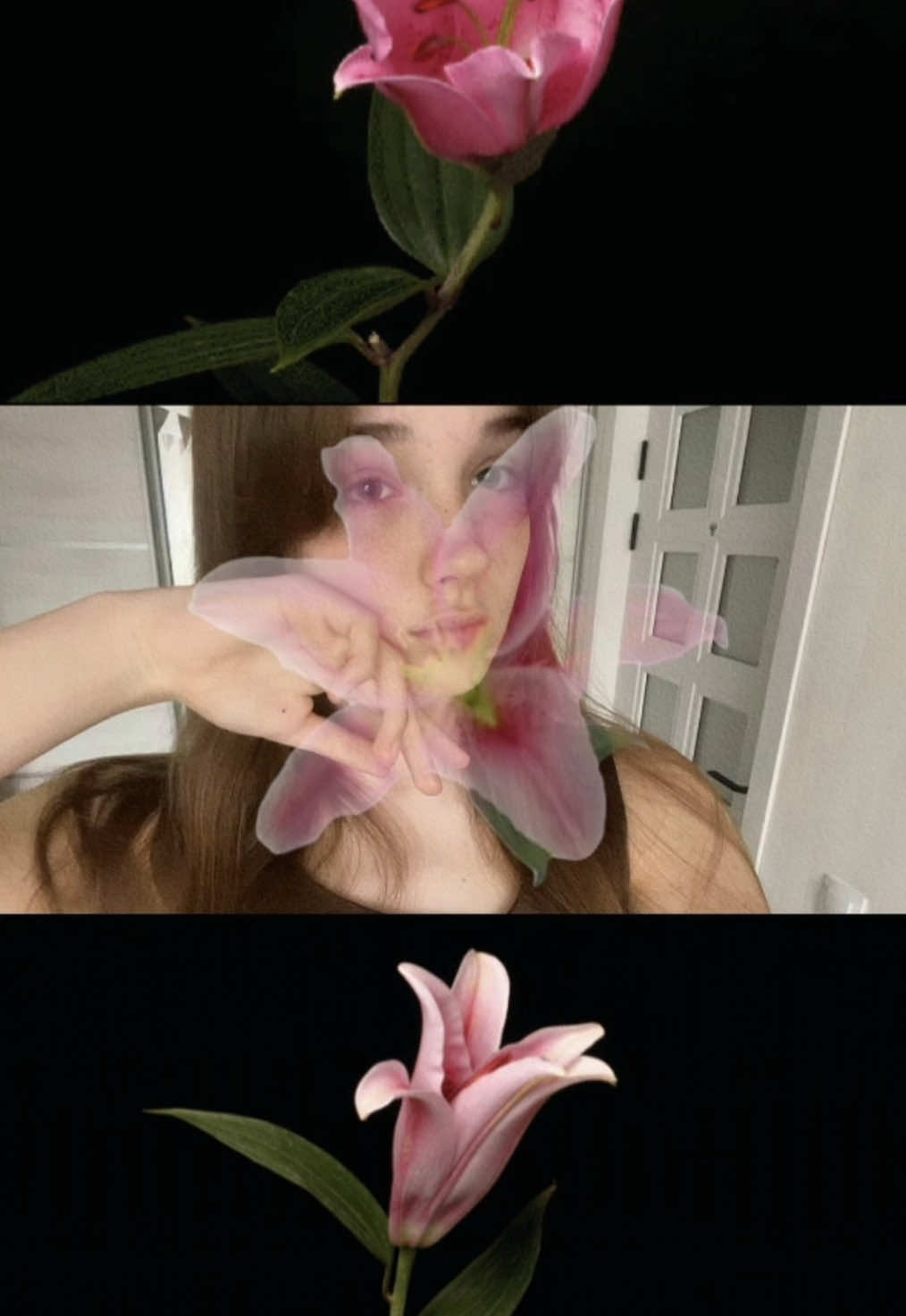 @sshtrixkodd