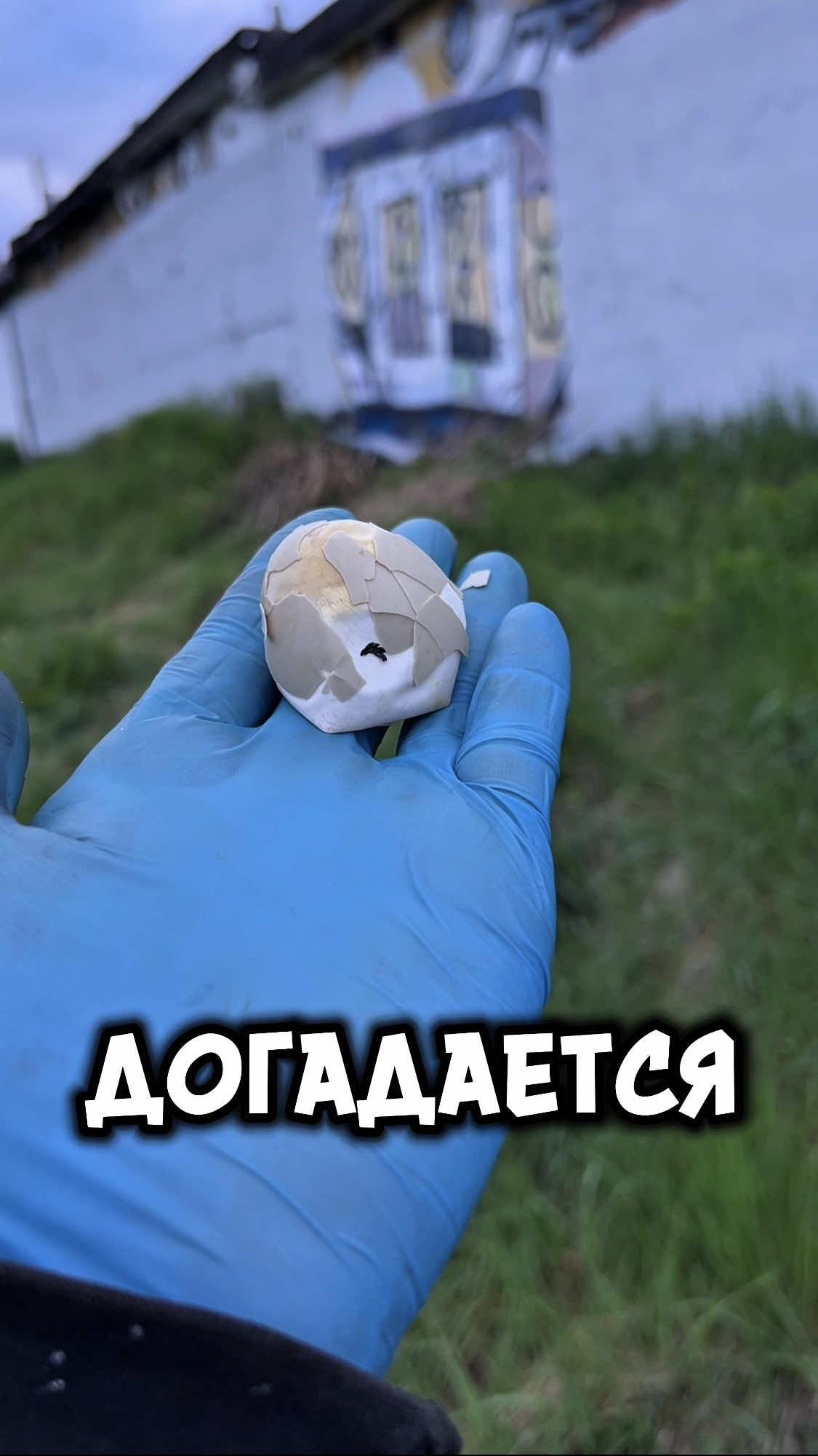 @Andrei_Sibir_TikTok_Hits