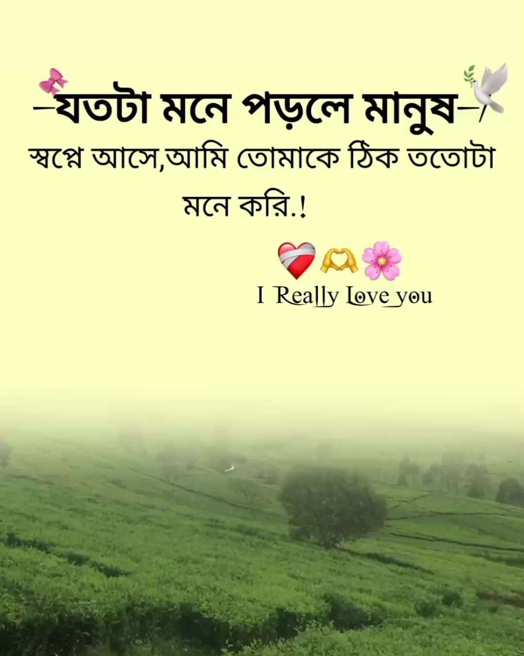 @ꕷɪʏꫝϻ
