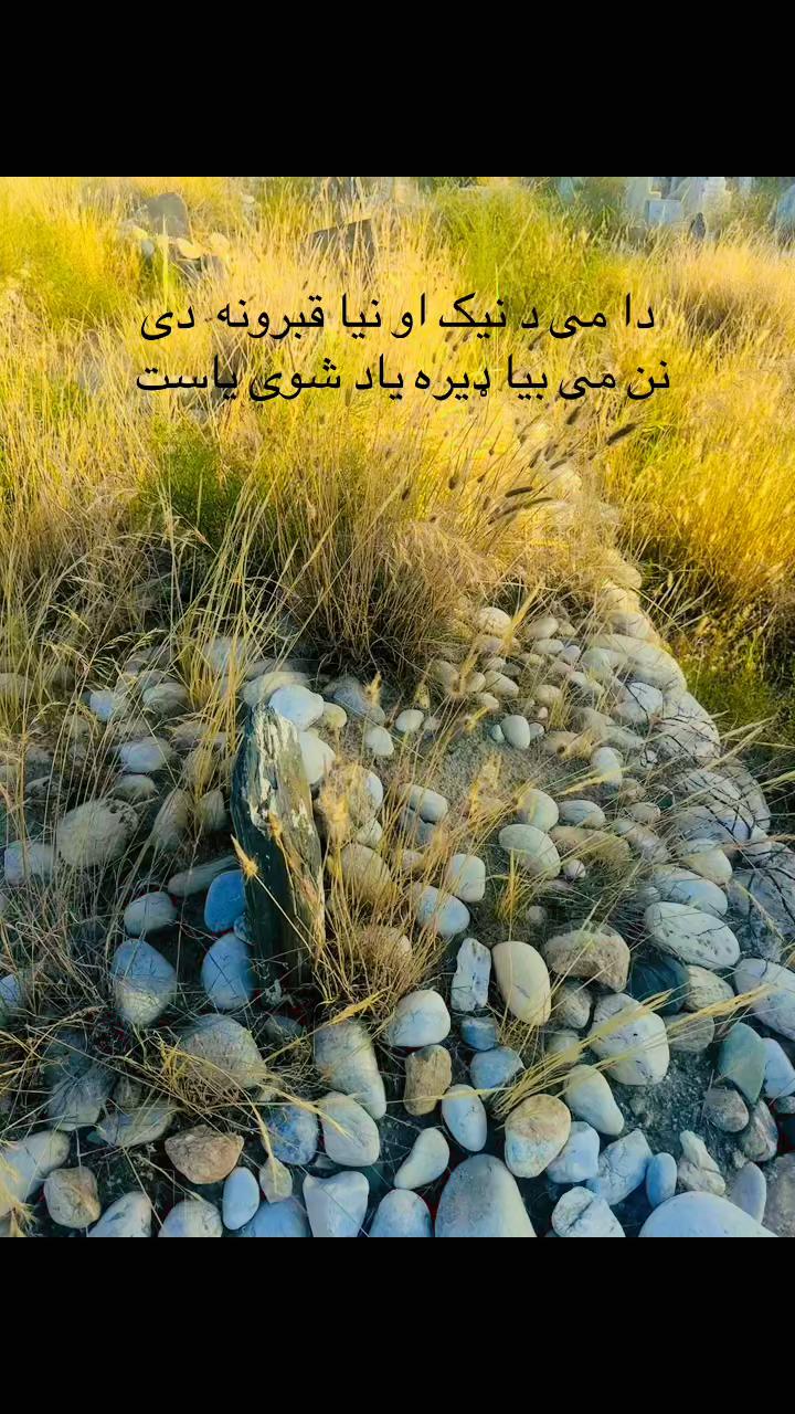 @Shinwari 🇦🇫