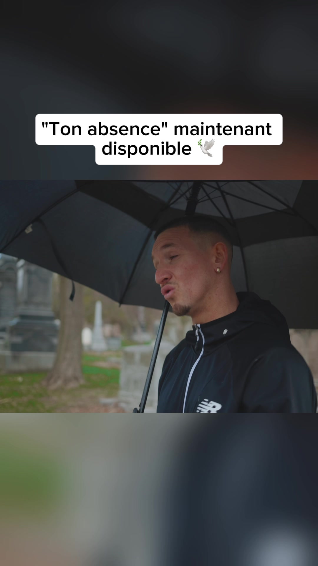 @Meeko