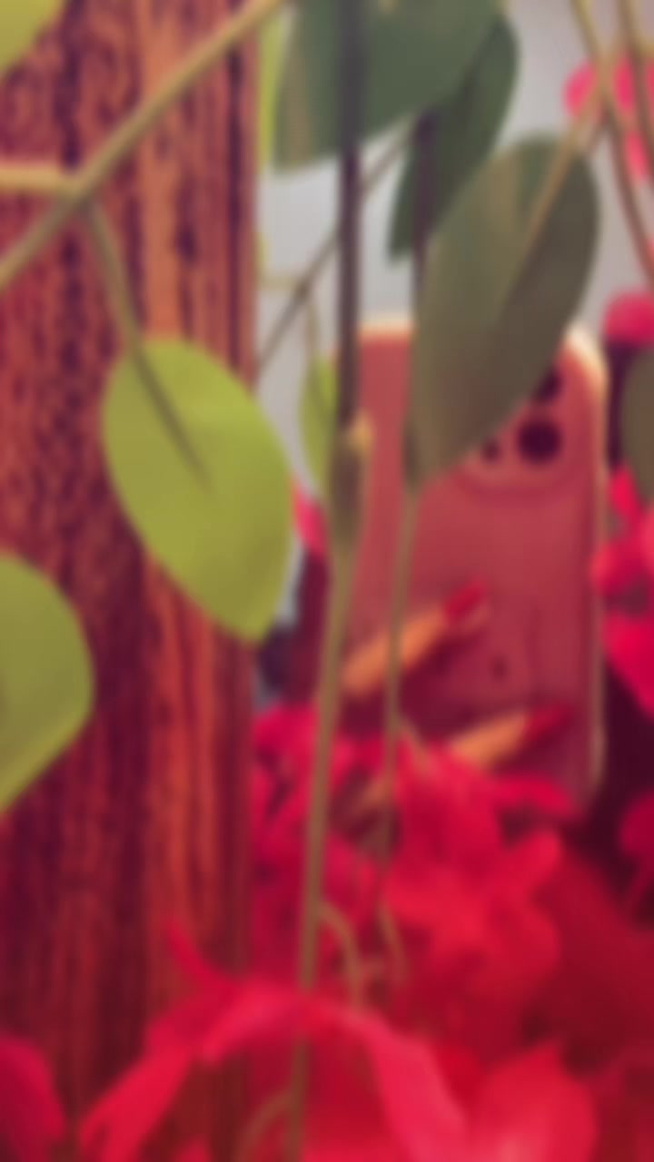@s&alpha;ch&iota; | සචී | சச்சி 🕊️ღ