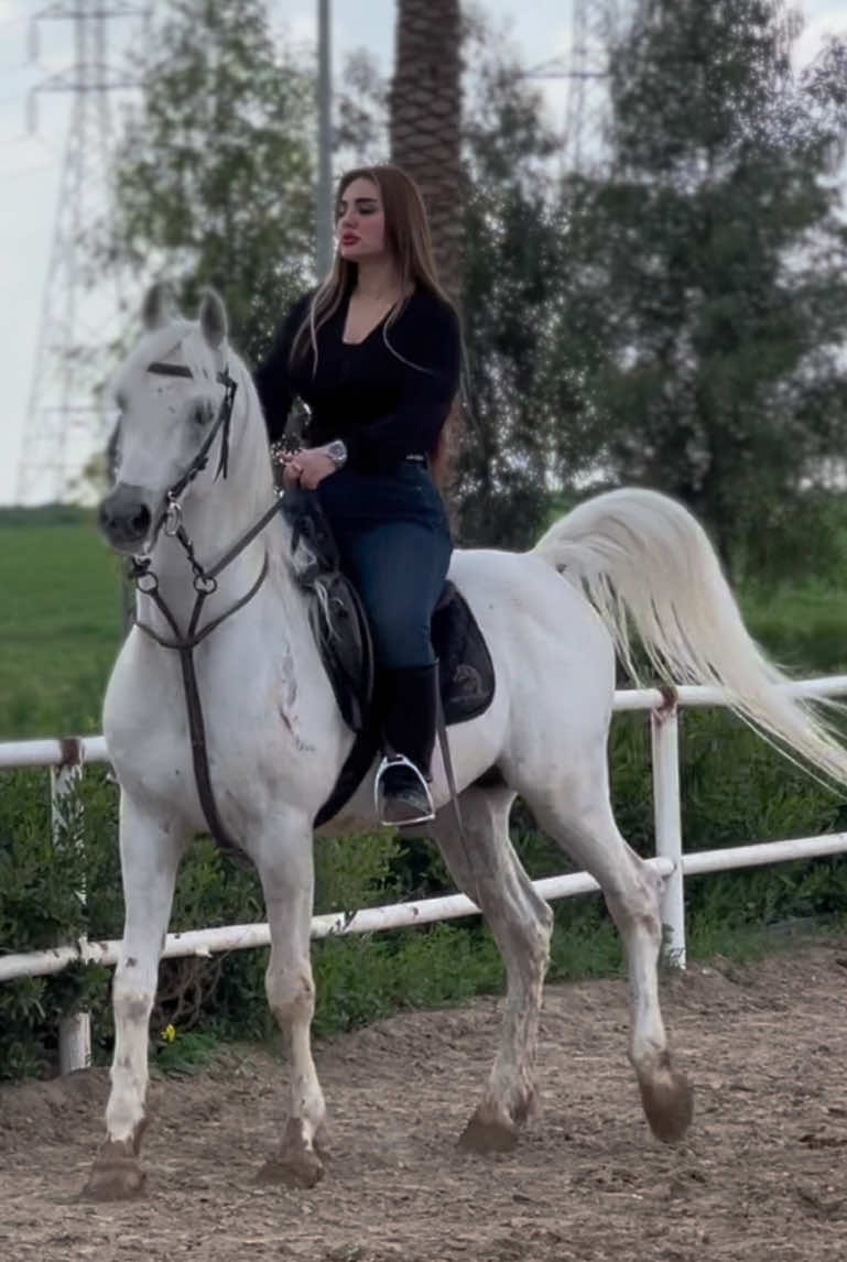 @Hanar_official