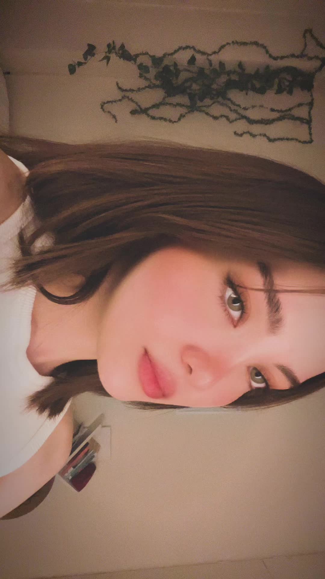 @shimeow