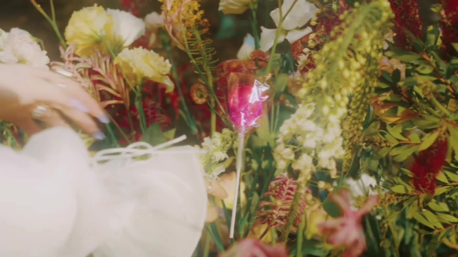 @eden