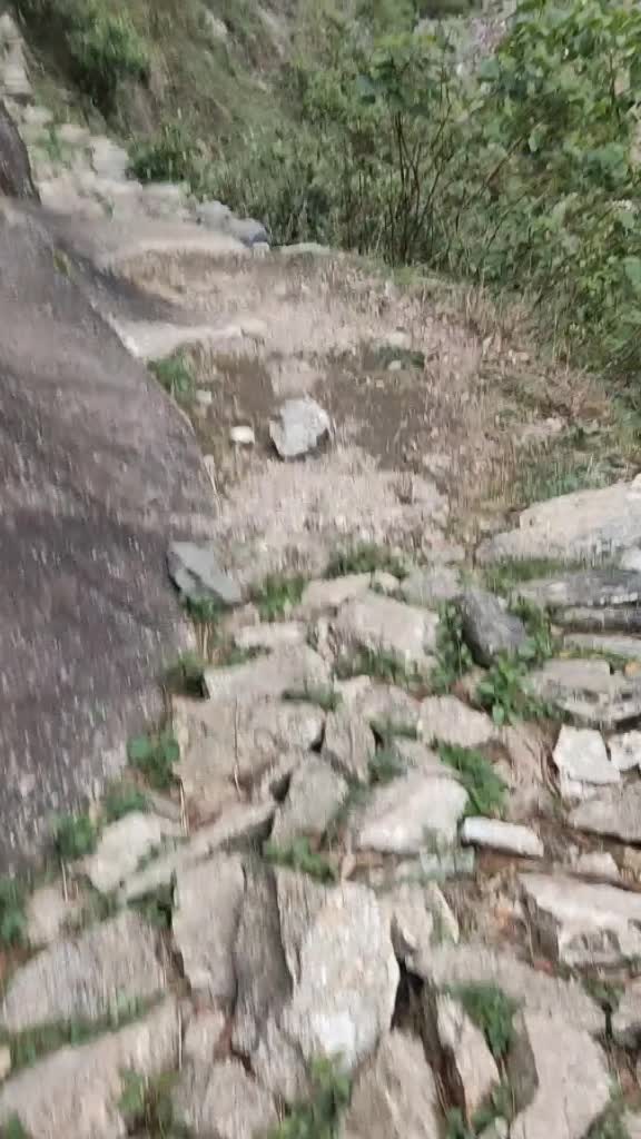 @ganeshthapa1250