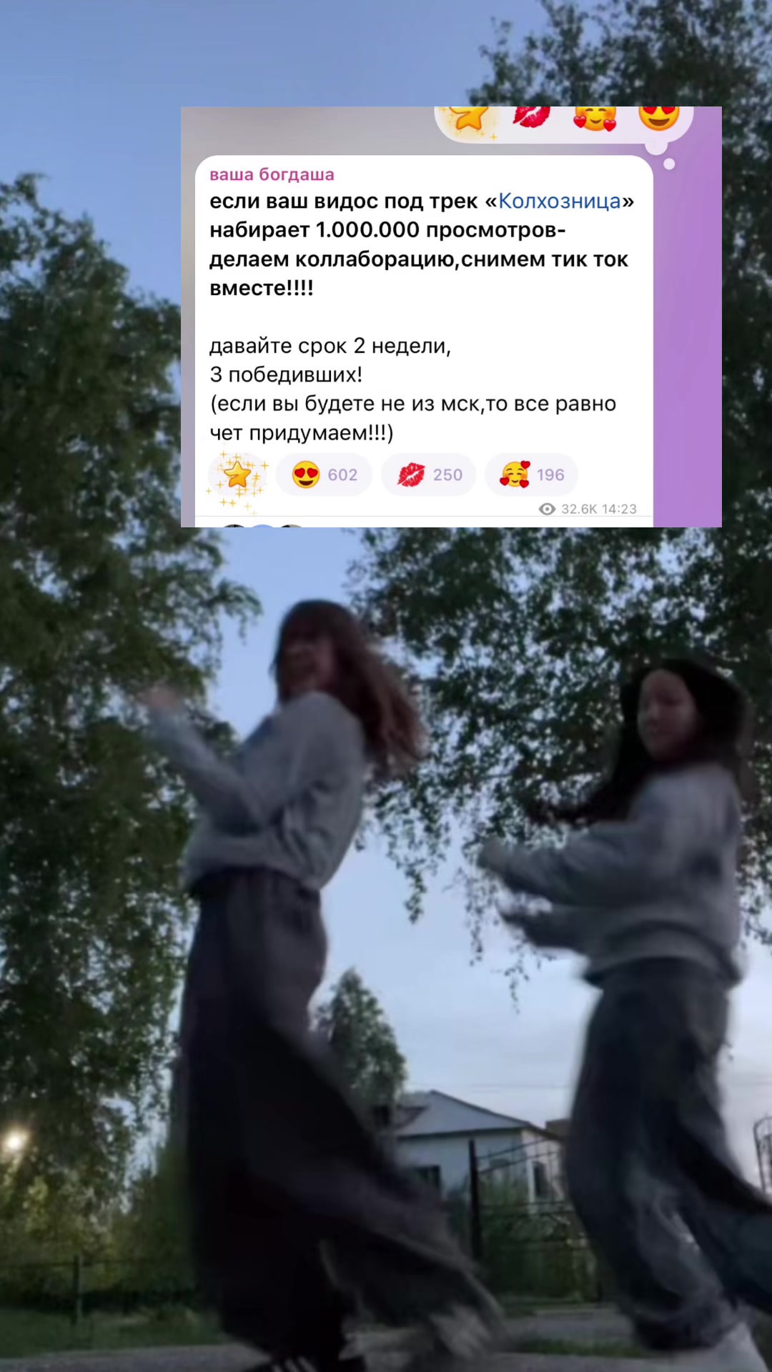 @коала рулит