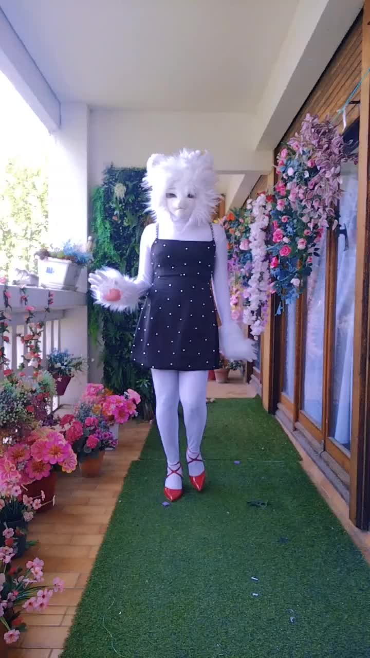 @SnowCat