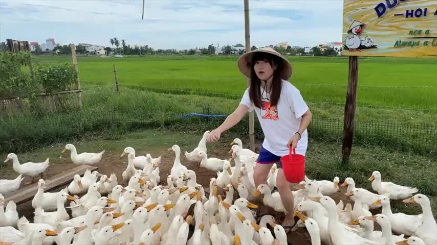 @user6660094969926