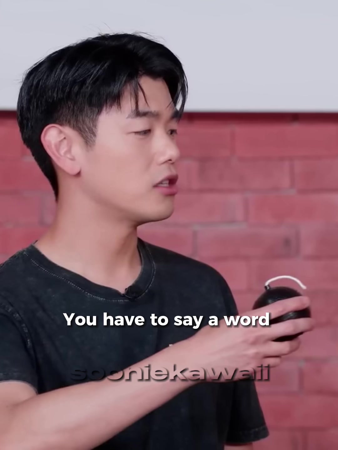 @maya