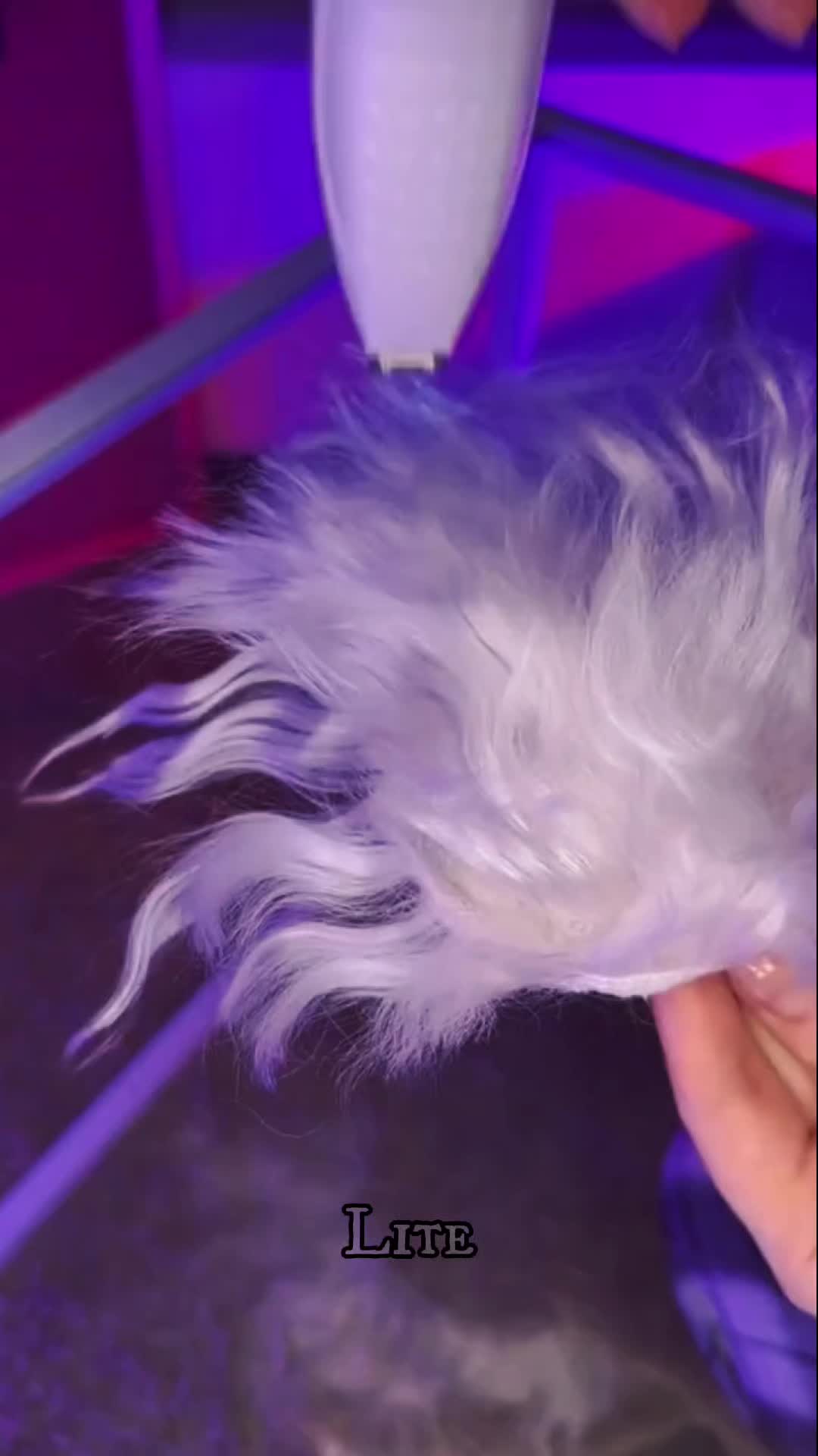 @vexd