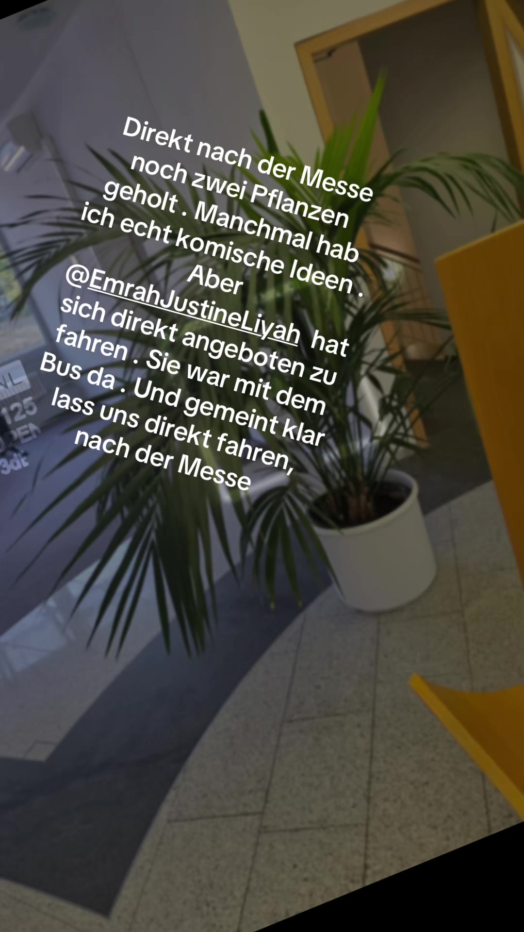 @Fellpflegerei Verena