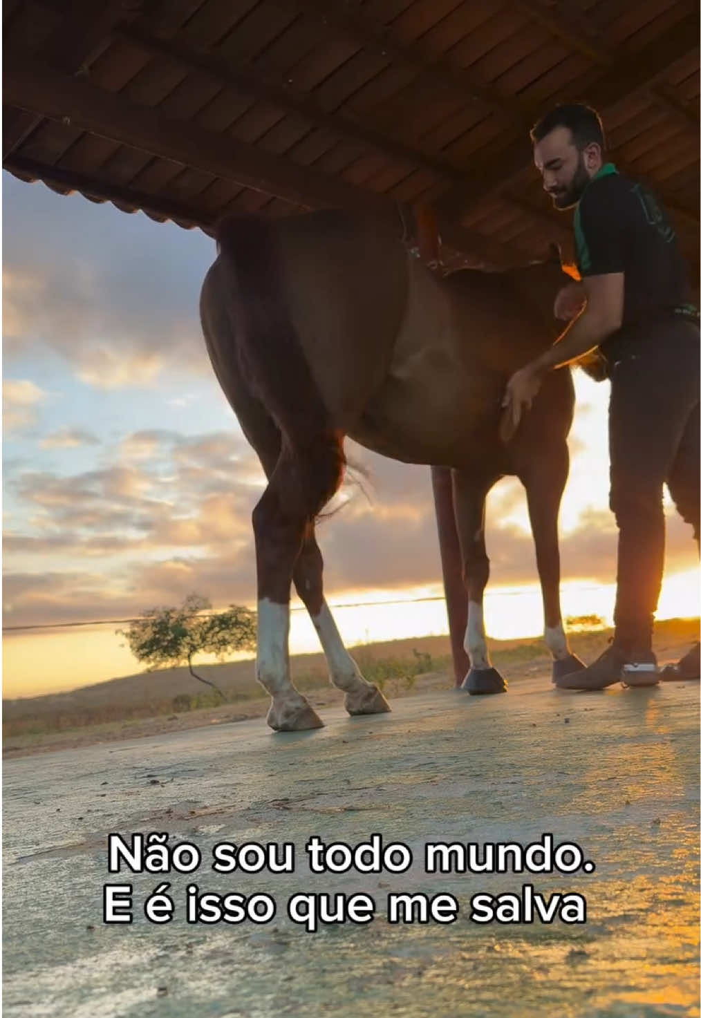 @Paulo Feitoza