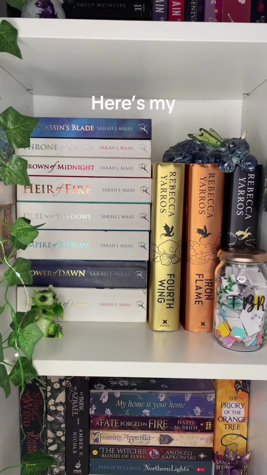 @Anwen’s Library 📚🌿✨
